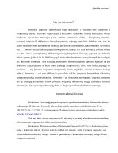 Paieška naudojantis internetą 3 puslapis