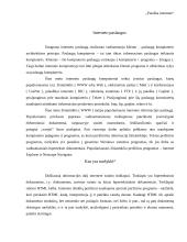 Paieška naudojantis internetą 4 puslapis