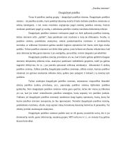 Paieška naudojantis internetą 10 puslapis