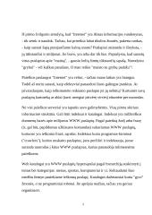 Paieškos sistemos Google 2 puslapis