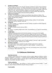 Paieškos sistemų apžvalga 12 puslapis