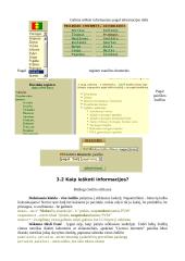 Paieškos sistemų apžvalga 18 puslapis