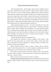 Pažintinė raida. Priežastiniai ryšiai 3 puslapis