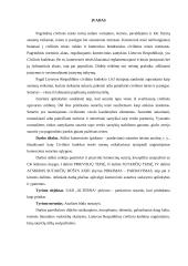 Pirkimo-pardavimo sutarties analizė 2 puslapis