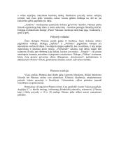 Platono teorijos 4 puslapis