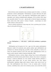 Plokščiapėdystė vaikystėje, jos profilaktika 4 puslapis
