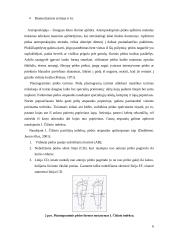 Plokščiapėdystė vaikystėje, jos profilaktika 6 puslapis