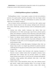 Plokščiapėdystė vaikystėje, jos profilaktika 8 puslapis