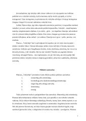 Politinių santvarkų analizė Platono "Valstybėje". Platono teisingumo samprata Platono "Valstybėje" 7 puslapis