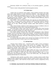 Požiūris į šeimą 8 puslapis