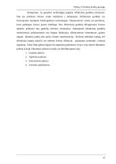 Prekių ir firminių ženklų apsauga 12 puslapis