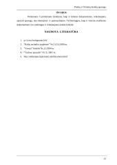 Prekių ir firminių ženklų apsauga 13 puslapis