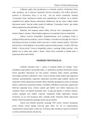 Prekių ir firminių ženklų apsauga 3 puslapis