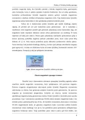 Prekių ir firminių ženklų apsauga 8 puslapis