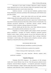 Prekių ir firminių ženklų apsauga 10 puslapis