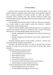 Prievolių pasibaigimas LR civilinėje teisėje 10 puslapis