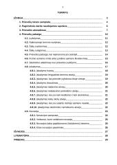 Prievolių pasibaigimas LR civilinėje teisėje 2 puslapis