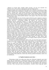 Priklausomybė. Asmenybę žlugdančios priklausomybės 15 puslapis