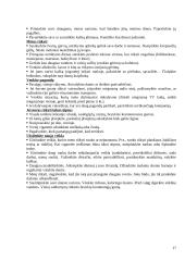 Priklausomybė. Asmenybę žlugdančios priklausomybės 17 puslapis