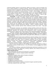 Priklausomybė. Asmenybę žlugdančios priklausomybės 9 puslapis