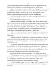 Privatieji juridiniai asmenys 14 puslapis