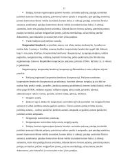 Privatieji juridiniai asmenys 17 puslapis