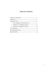 Process of communication 2 puslapis
