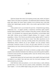 Profesinis įvaizdis 2 puslapis