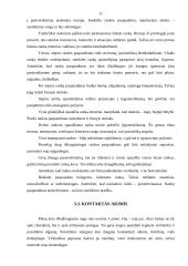 Profesinis įvaizdis 11 puslapis