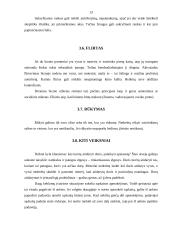 Profesinis įvaizdis 13 puslapis