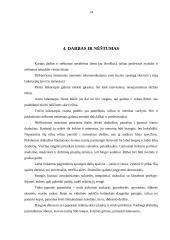 Profesinis įvaizdis 14 puslapis