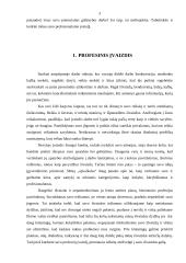 Profesinis įvaizdis 3 puslapis