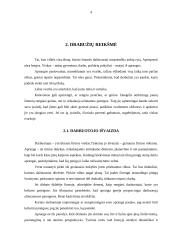 Profesinis įvaizdis 4 puslapis