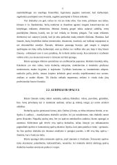 Profesinis įvaizdis 5 puslapis