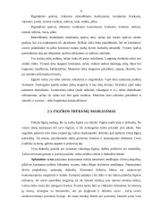 Profesinis įvaizdis 6 puslapis