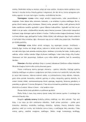 Profesinis įvaizdis 7 puslapis