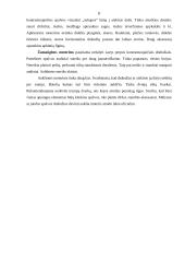 Profesinis įvaizdis 8 puslapis