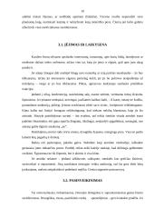 Profesinis įvaizdis 10 puslapis