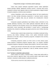 Kompiuterių programinės įrangos bei duomenų teisinė apsauga 4 puslapis