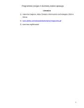 Kompiuterių programinės įrangos bei duomenų teisinė apsauga 8 puslapis
