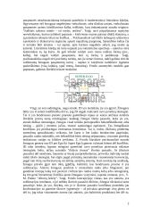 Psichoanalizės terminas 2 puslapis