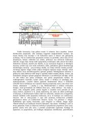 Psichoanalizės terminas 4 puslapis