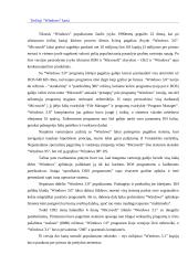 Windows istorija 7 puslapis