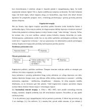 Psichoterapija ir psichoanalizė 11 puslapis