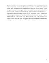 Psichoterapija ir psichoanalizė 13 puslapis