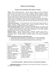 Žmogaus raidos psichologija 3 puslapis