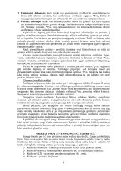 Žmogaus raidos psichologija 4 puslapis