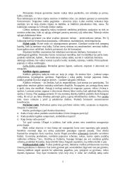 Žmogaus raidos psichologija 5 puslapis