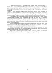 Žmogaus raidos psichologija 8 puslapis