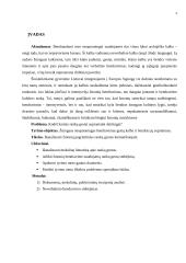 Rankų gestai komunikuojant 4 puslapis